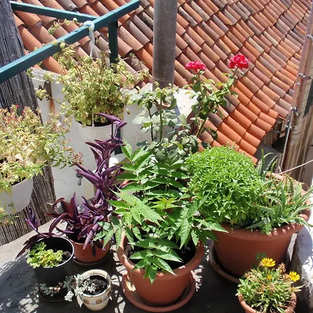 Vendégház Malena Palace Experience Split