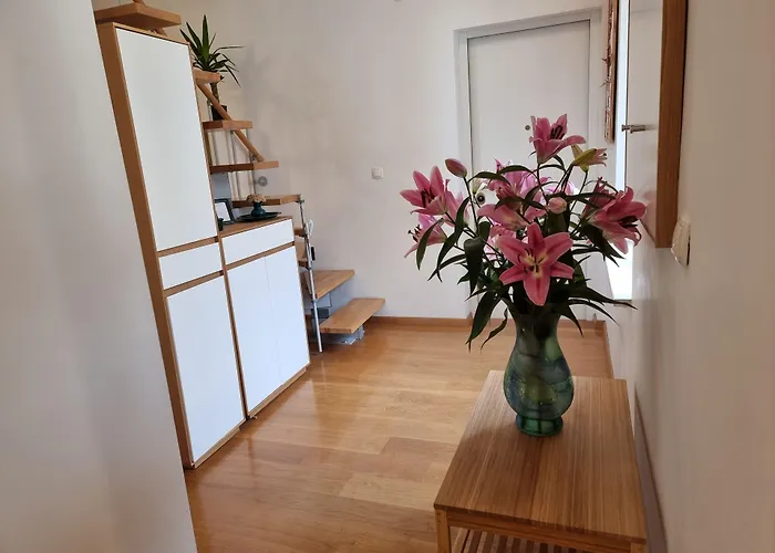 Guest house Malena Palace Experience