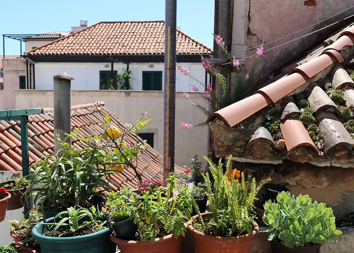 Malena Palace Experience Split