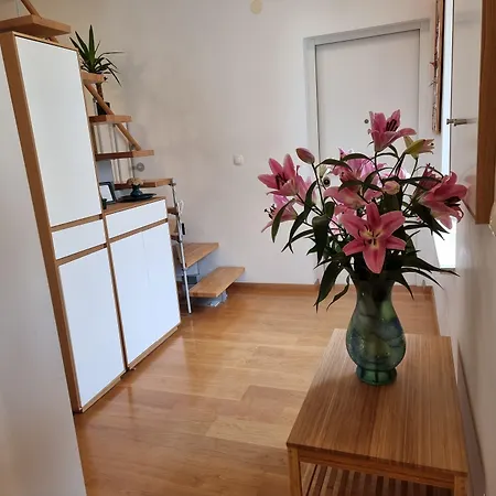 Affittacamere Malena Palace Experience