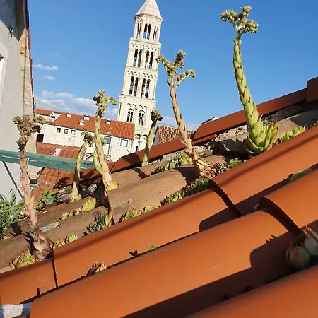 Affittacamere Malena Palace Experience 3*