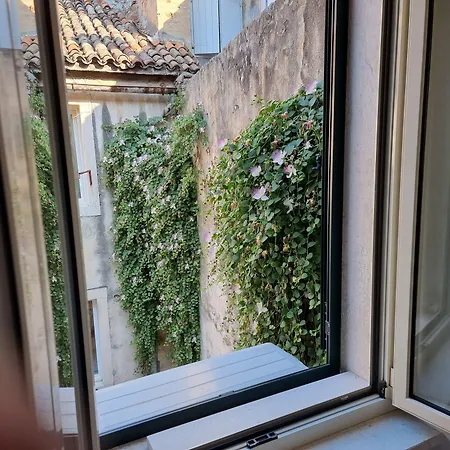 Malena Palace Experience