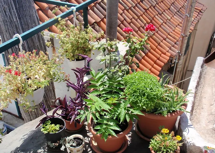 Gæstehus Malena Palace Experience Split